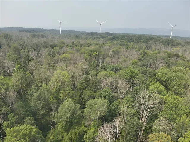 $34,900 | 19 Deer Pond, Varysburg, NY 14167