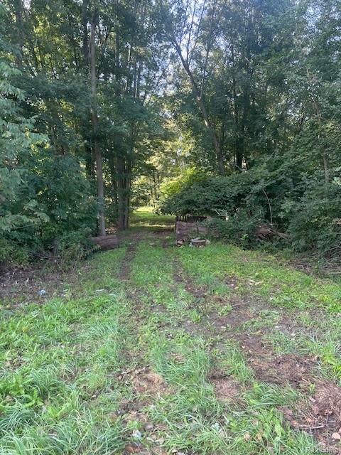 0 Sherwood Road Fowlerville, MI 48836 - Photo 3 of 7