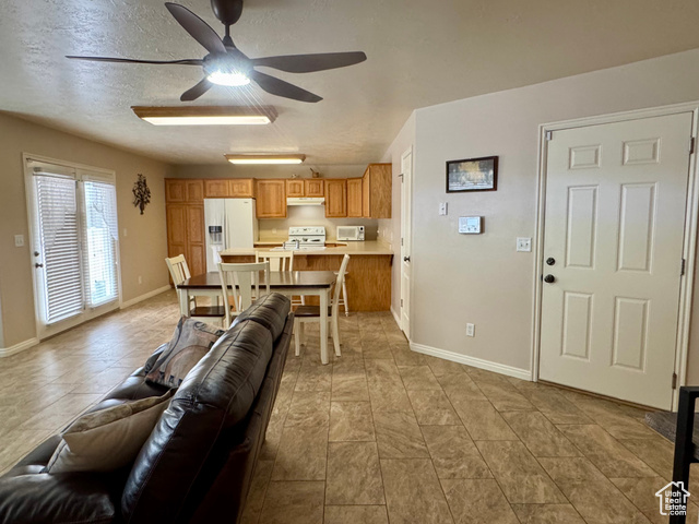 445 Topaz Boulevard, Unit 10 Delta, UT 84624 - Photo 6 of 28 Living area with ceiling fan and baseboards