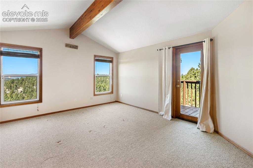 265 Homestead Road Divide, CO 80814 - Photo 23 of 50
