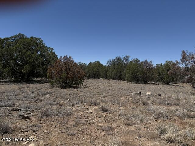356 B Sierra Verde Ranch Seligman, AZ 86337 - Photo 3 of 6 a view of a yard with a tree