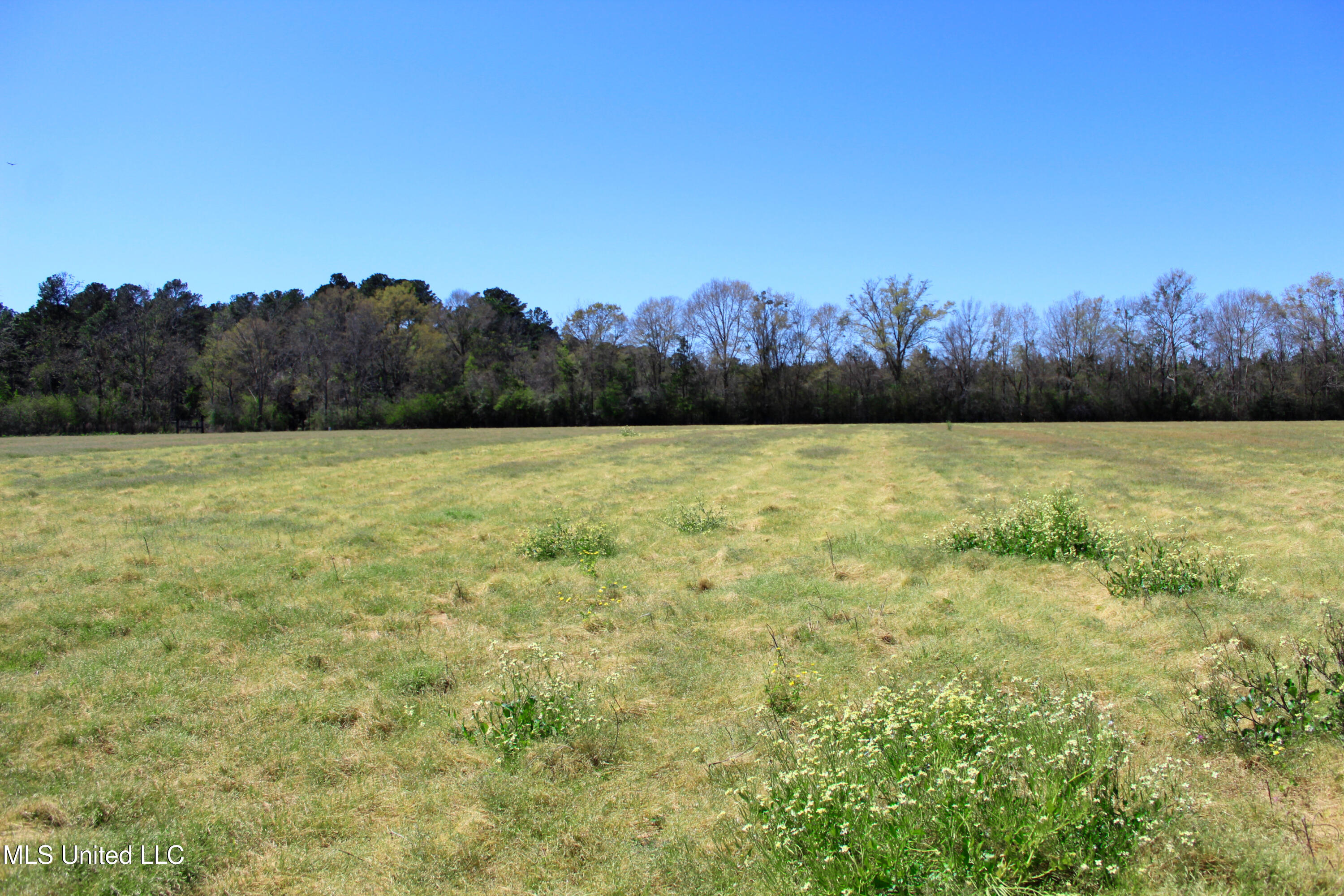 Lot 3 Ramie Farm Road Lucedale, MS 39452 - Photo 1 of 4 Lot 3