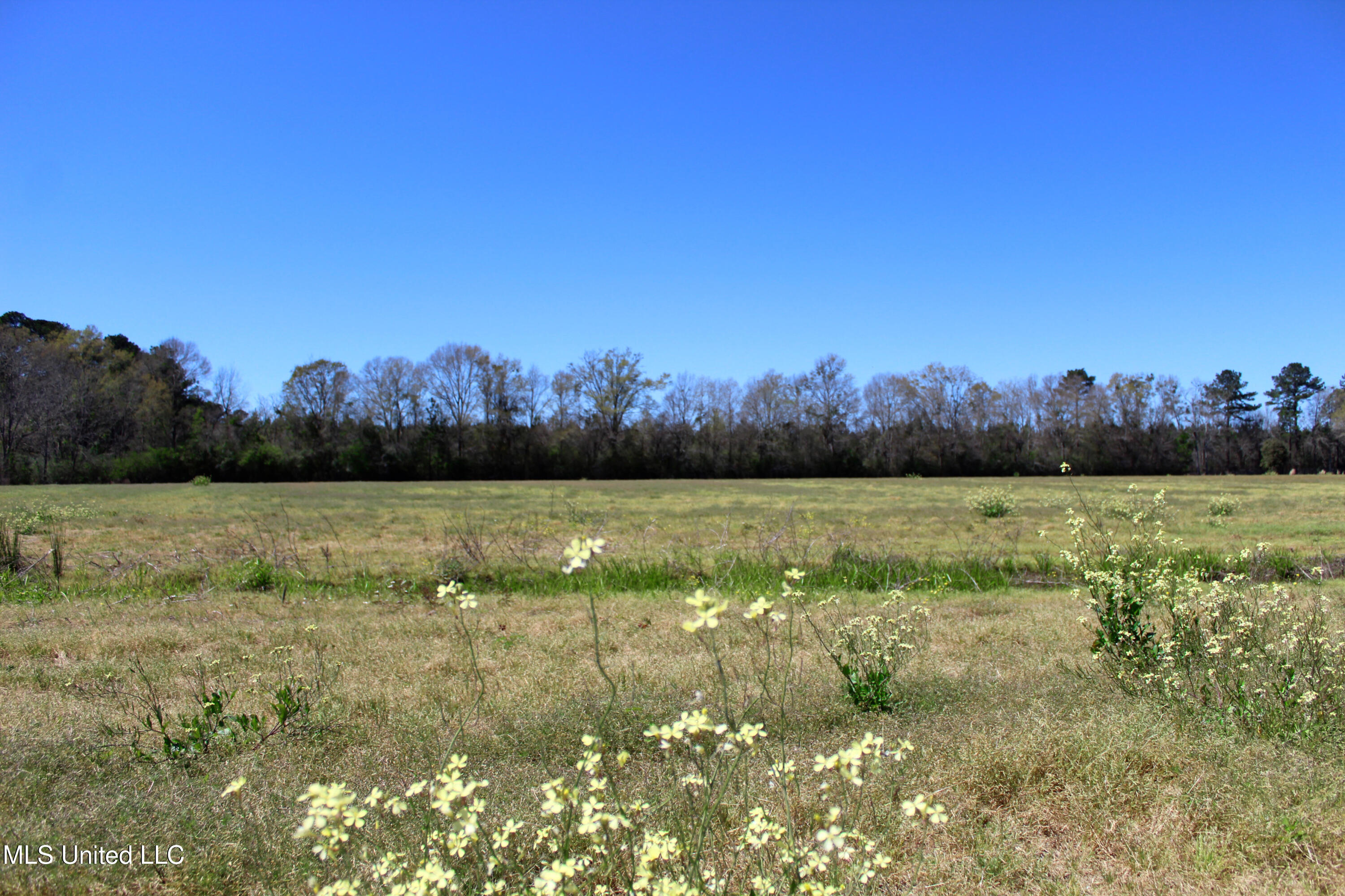 Lot 3 Ramie Farm Road Lucedale, MS 39452 - Photo 2 of 4 5878D826-617A-4481-9478-33F0078CF595