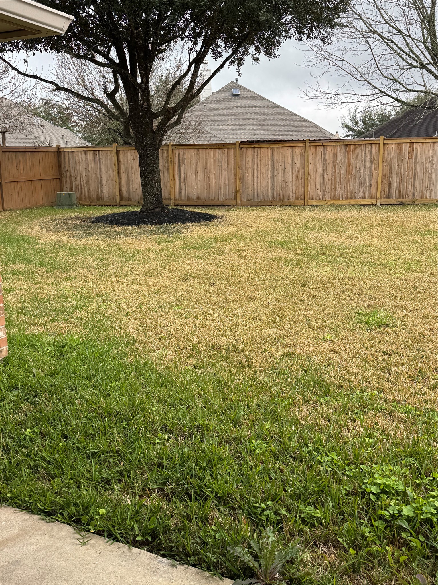 21424 Quail Point Lane Porter, TX 77365 - Photo 46 of 49 a view of a yard with a small barn