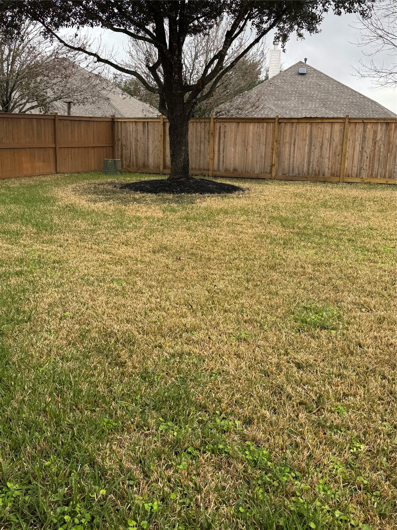 21424 Quail Point Lane Porter, TX 77365 - Photo 47 of 49 a view of a backyard