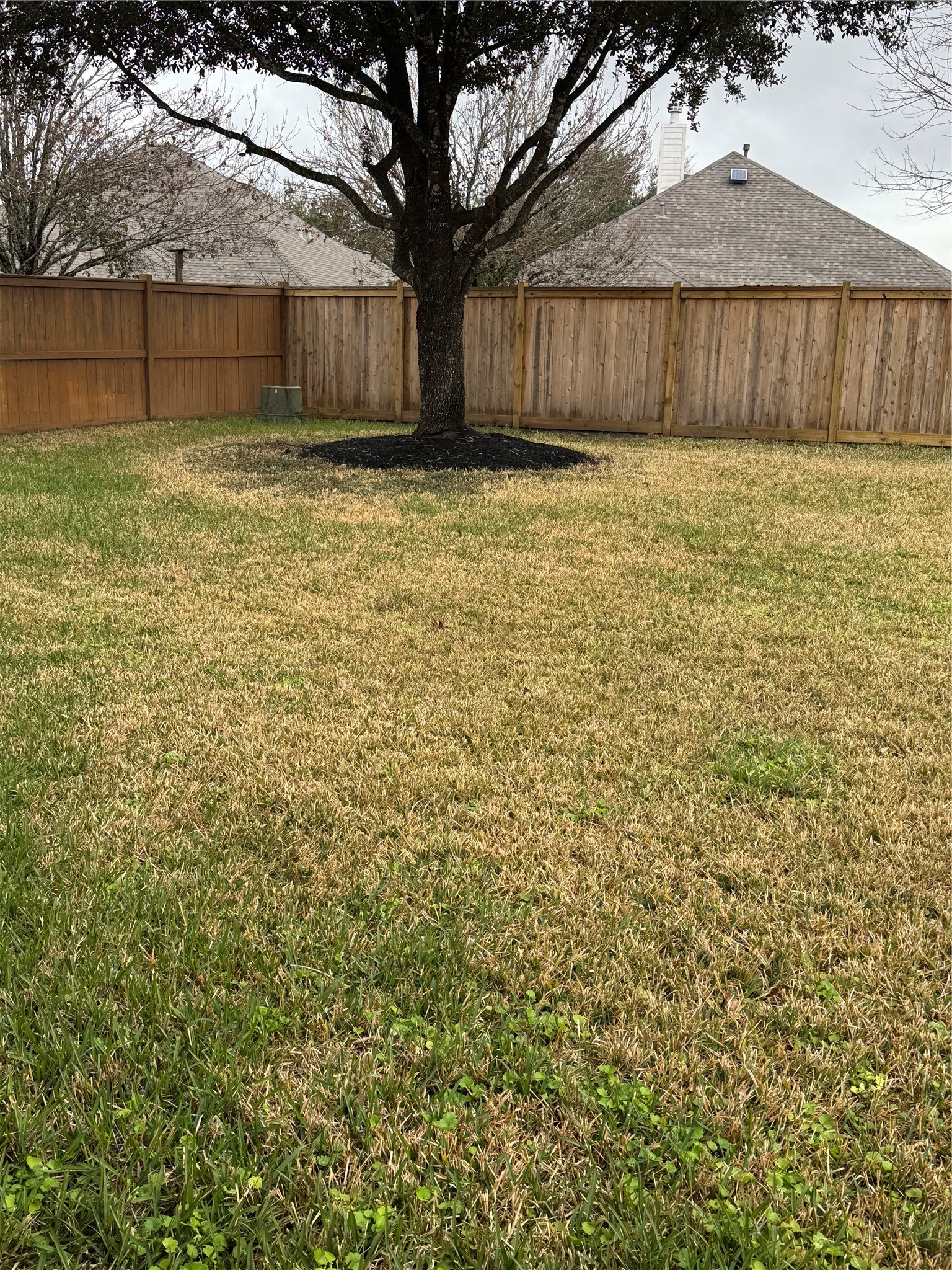 21424 Quail Point Lane Porter, TX 77365 - Photo 48 of 49 a view of a backyard