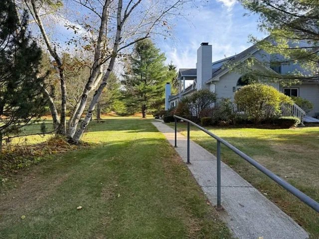 a view of a garden with large trees