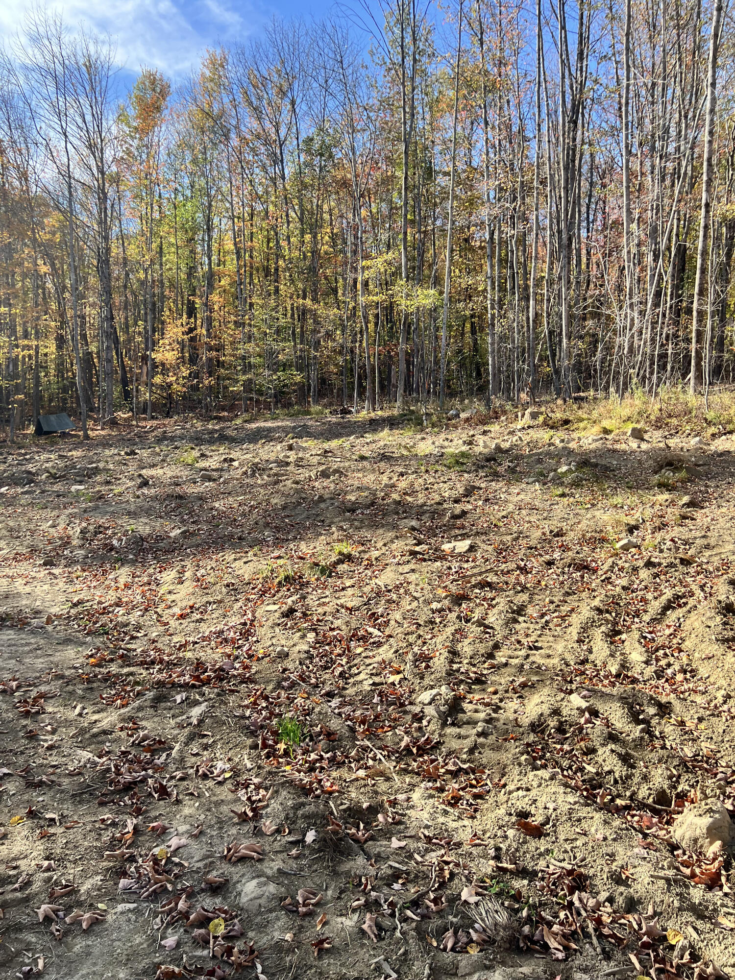 90 Orchard Hill Road Temple, ME 04984 - Photo 11 of 12 IMG_3082