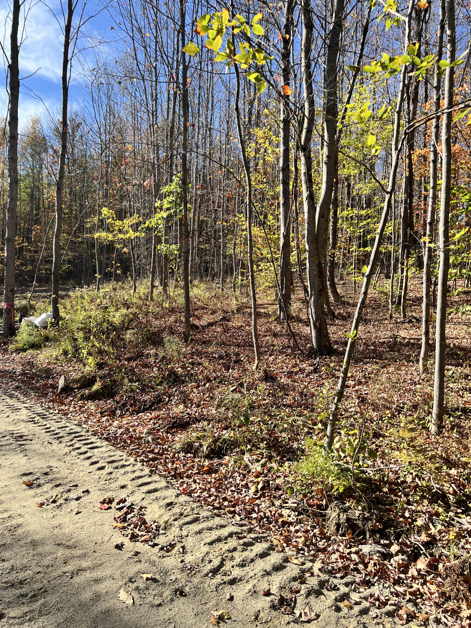 90 Orchard Hill Road Temple, ME 04984 - Photo 4 of 12 IMG_3075