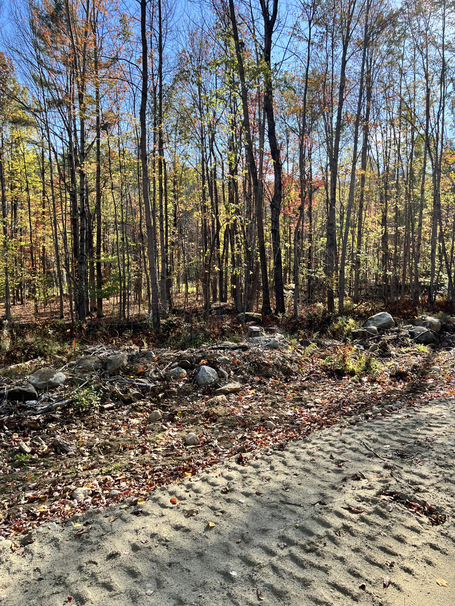 90 Orchard Hill Road Temple, ME 04984 - Photo 7 of 12 IMG_3078