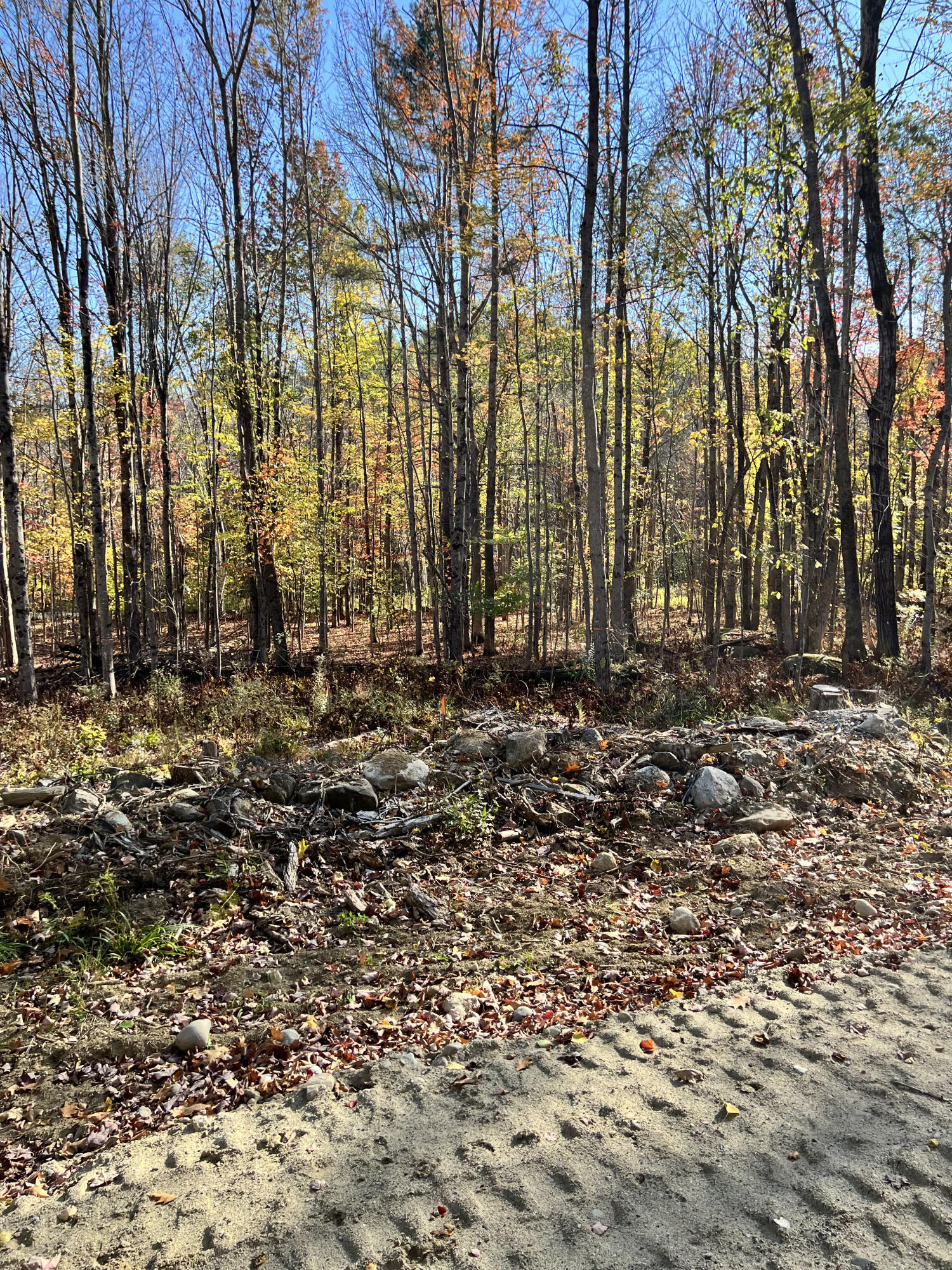 90 Orchard Hill Road Temple, ME 04984 - Photo 8 of 12 IMG_3079