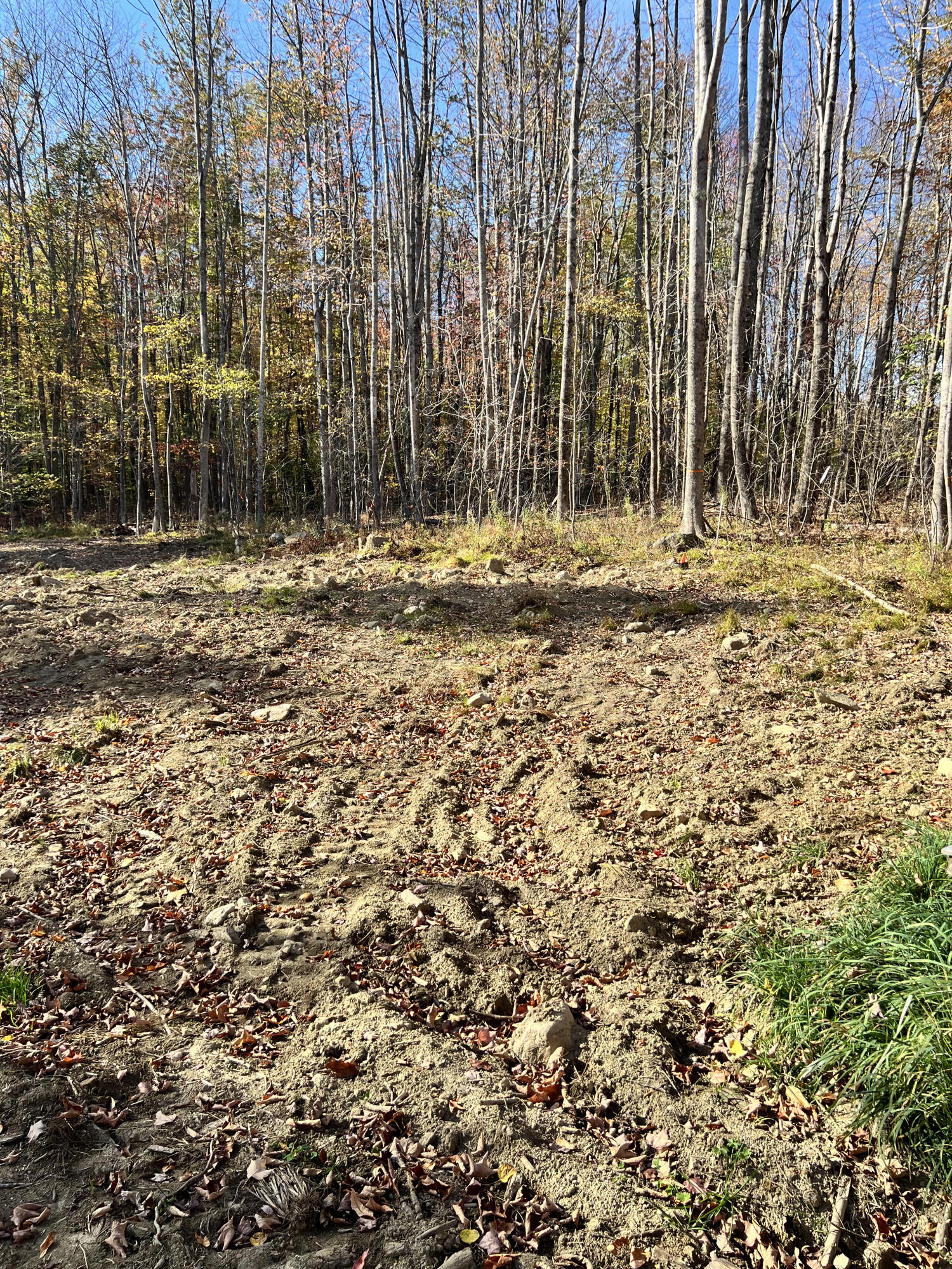 90 Orchard Hill Road Temple, ME 04984 - Photo 10 of 12 IMG_3081