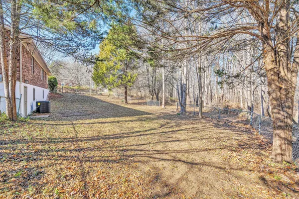a view of a yard with trees