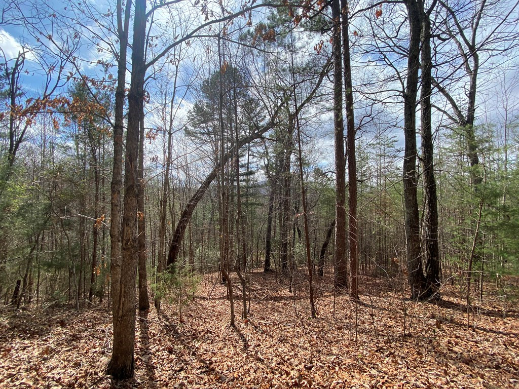 Lot 9 Turtle Ridge Trail Murphy, NC 28906 - Photo 7 of 10