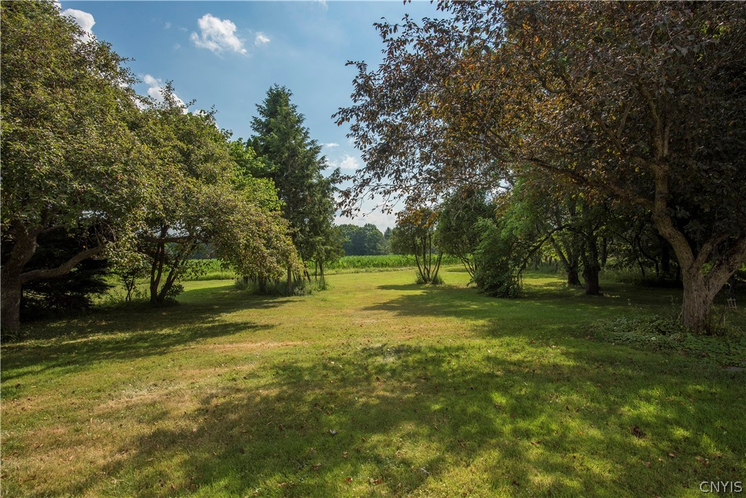 6998 Nelson Road Lincoln, NY 13032 - Photo 20 of 49