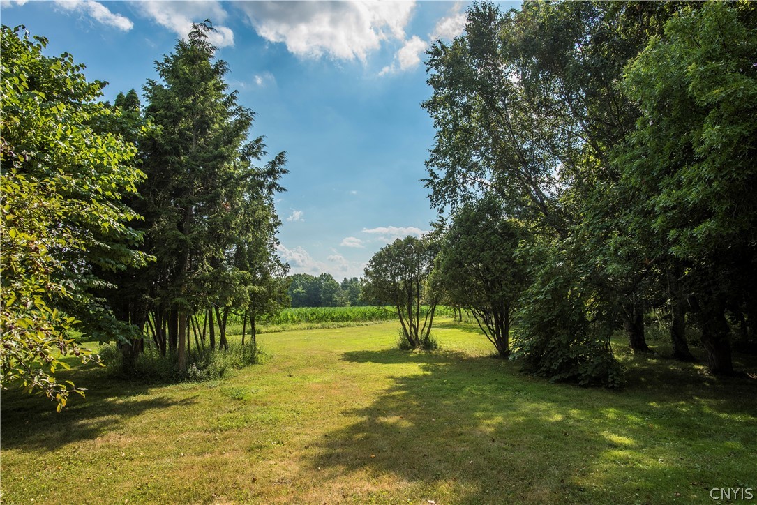 6998 Nelson Road Lincoln, NY 13032 - Photo 21 of 49