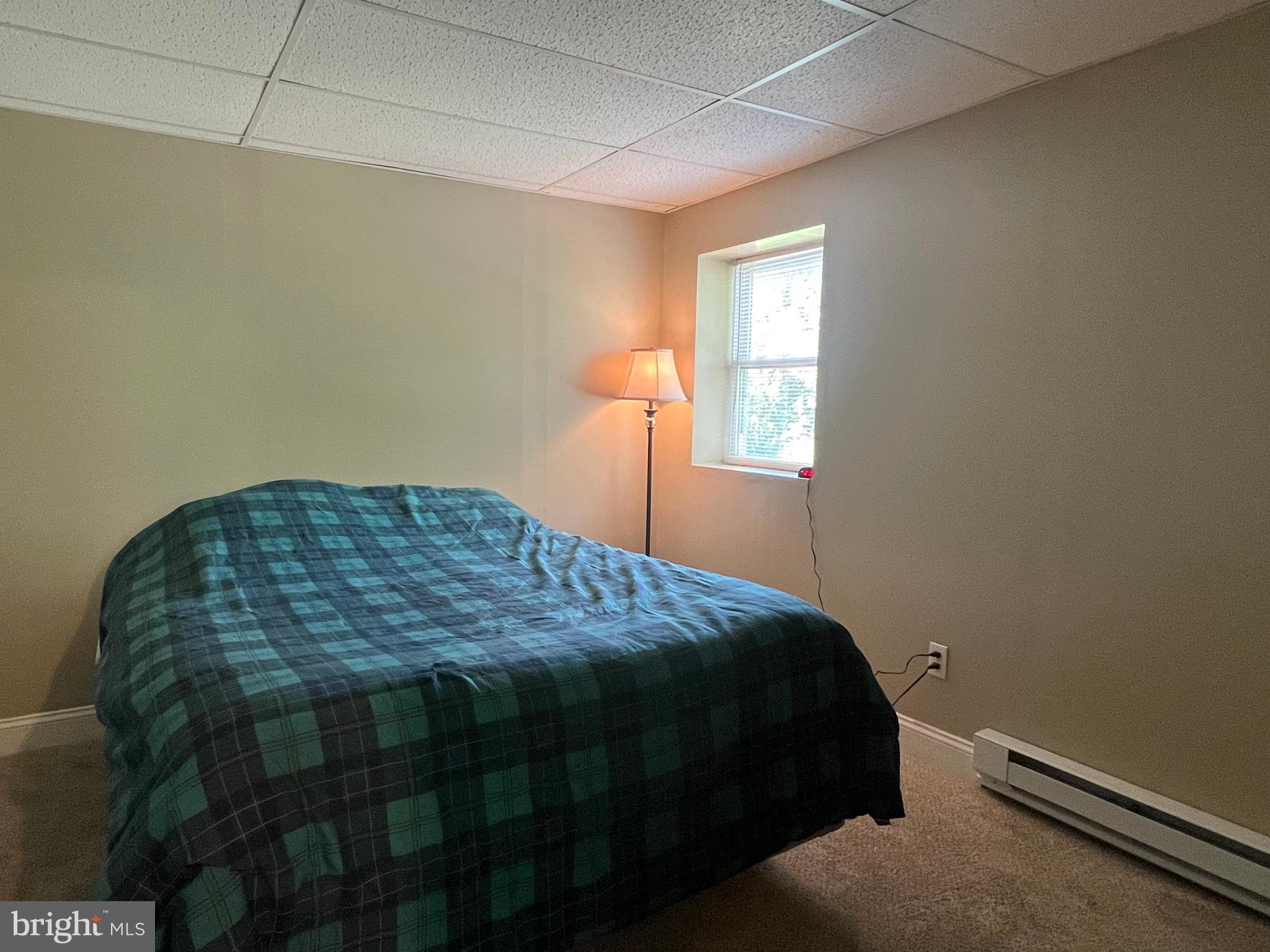 16208 Spade Road Hagerstown, MD 21740 - Photo 29 of 32 Bedroom #4 lower level