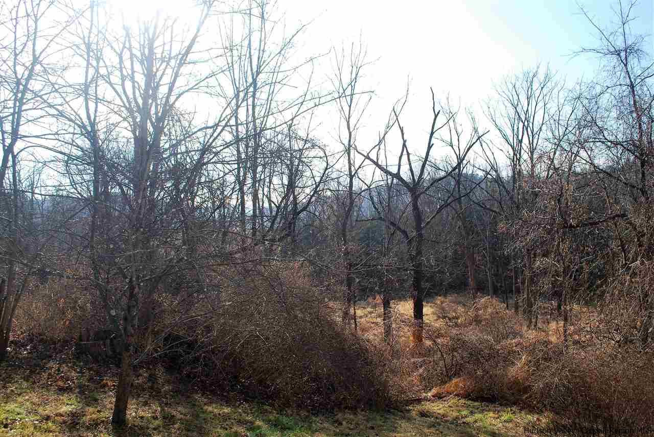 14 Ramshorn Road Catskill, NY 12414 - Photo 34 of 35 Photo 34