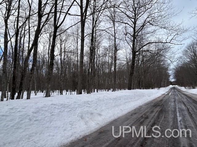 53554 North Superior Road Houghton, MI 49931 - Photo 6 of 41