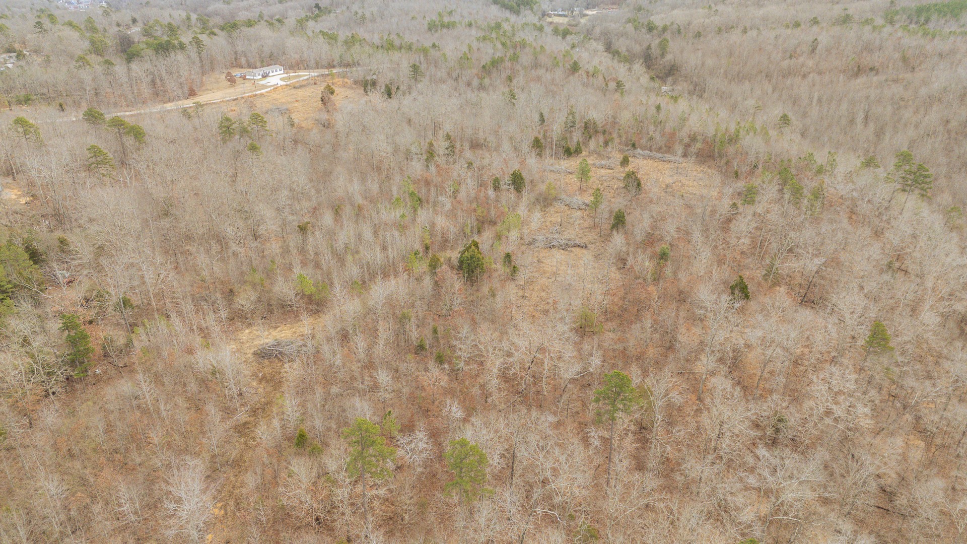 0 Walker Road Waynesboro, TN 38485 - Photo 11 of 50