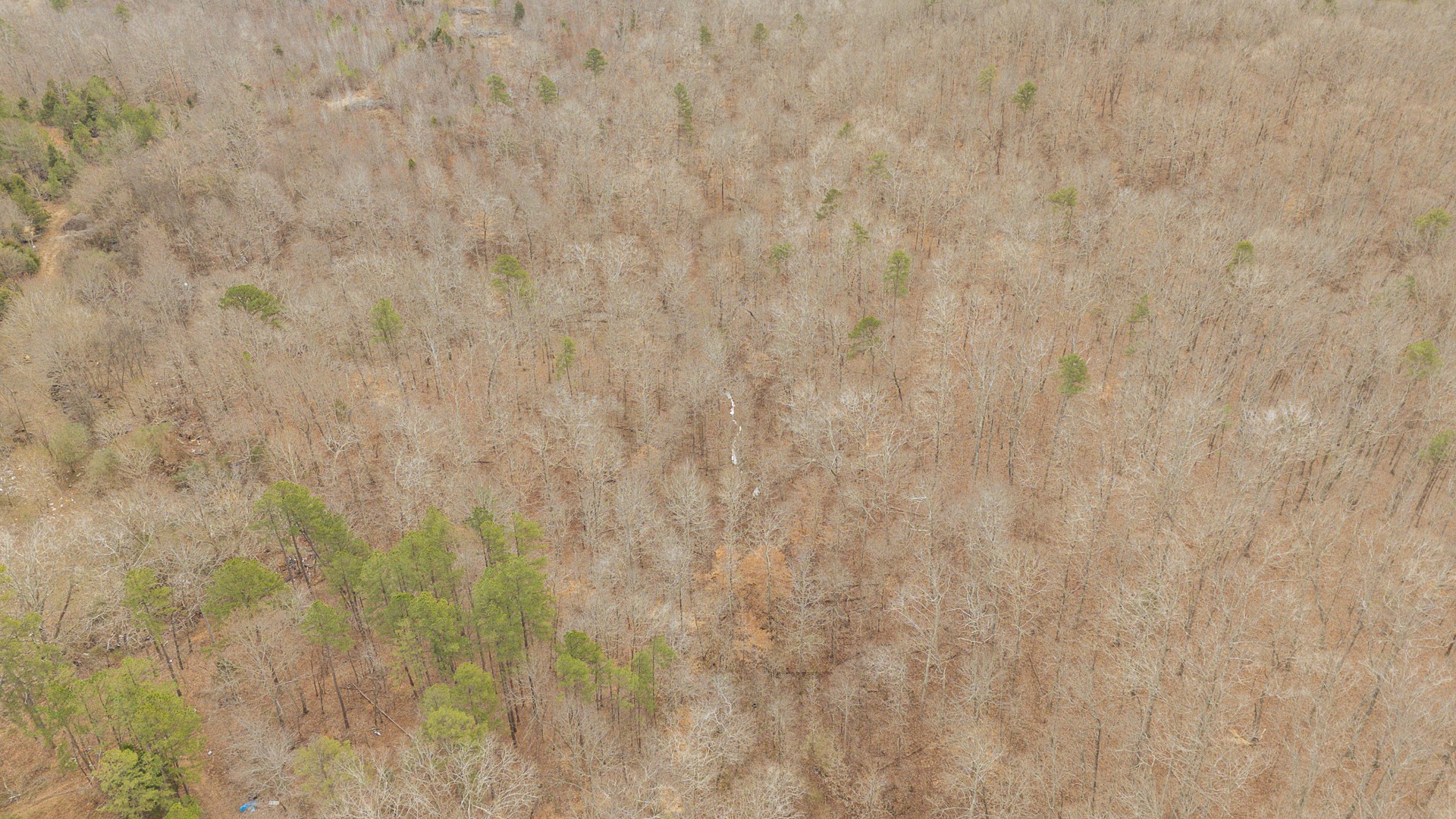 0 Walker Road Waynesboro, TN 38485 - Photo 15 of 50