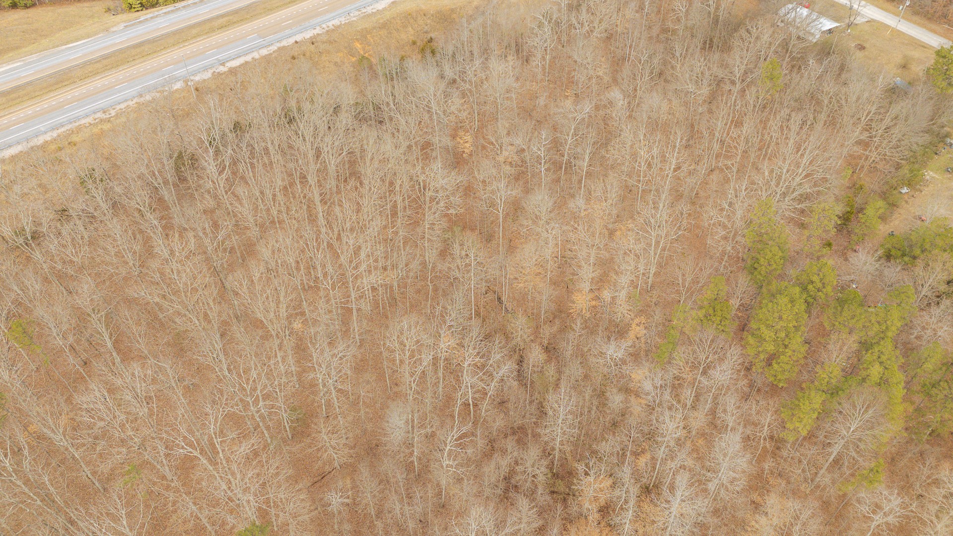 0 Walker Road Waynesboro, TN 38485 - Photo 20 of 50