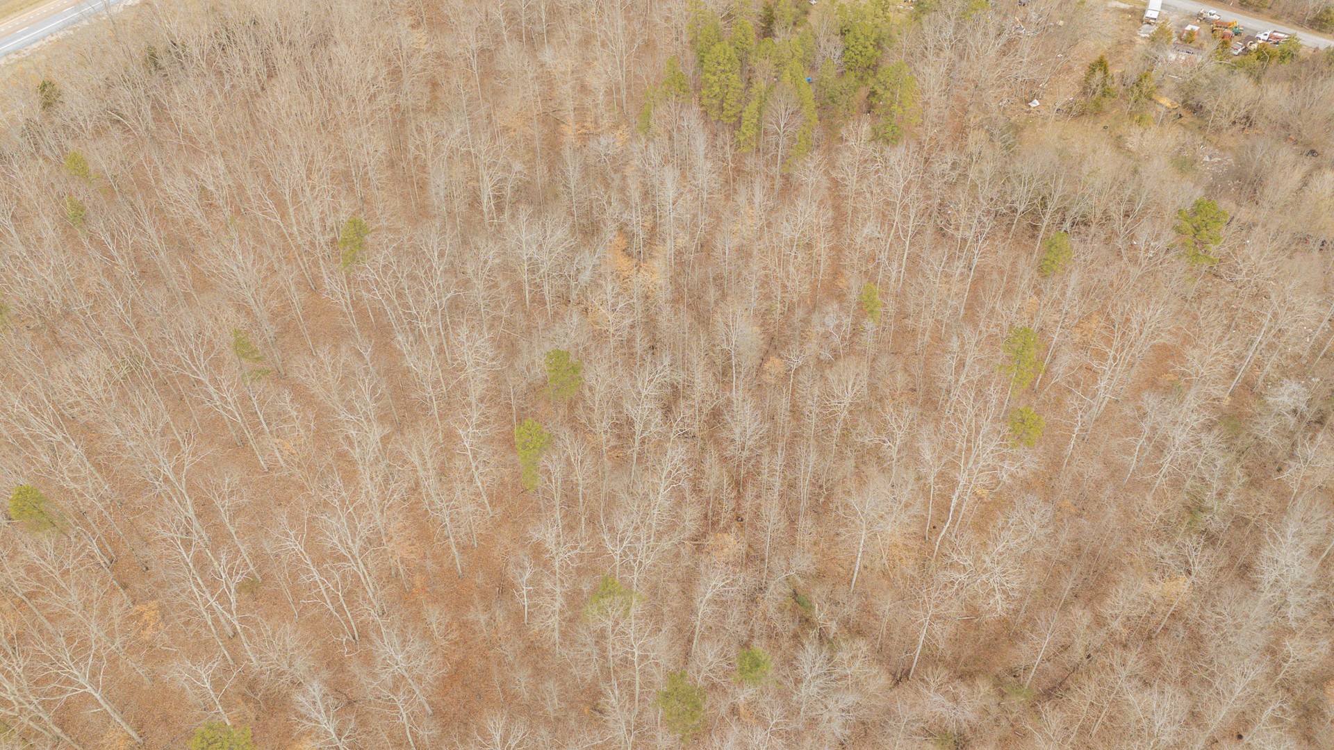 0 Walker Road Waynesboro, TN 38485 - Photo 22 of 50