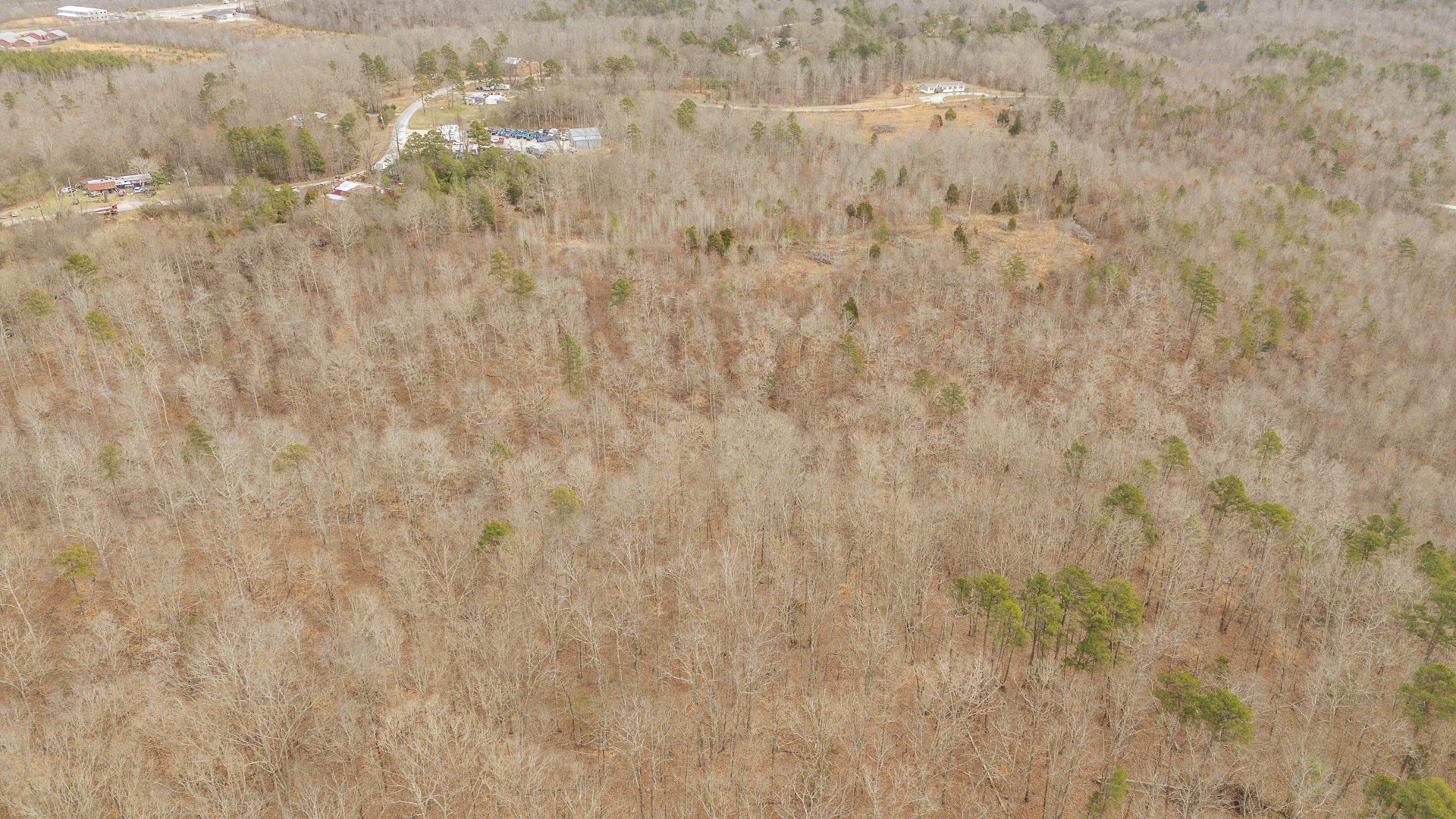 0 Walker Road Waynesboro, TN 38485 - Photo 26 of 50