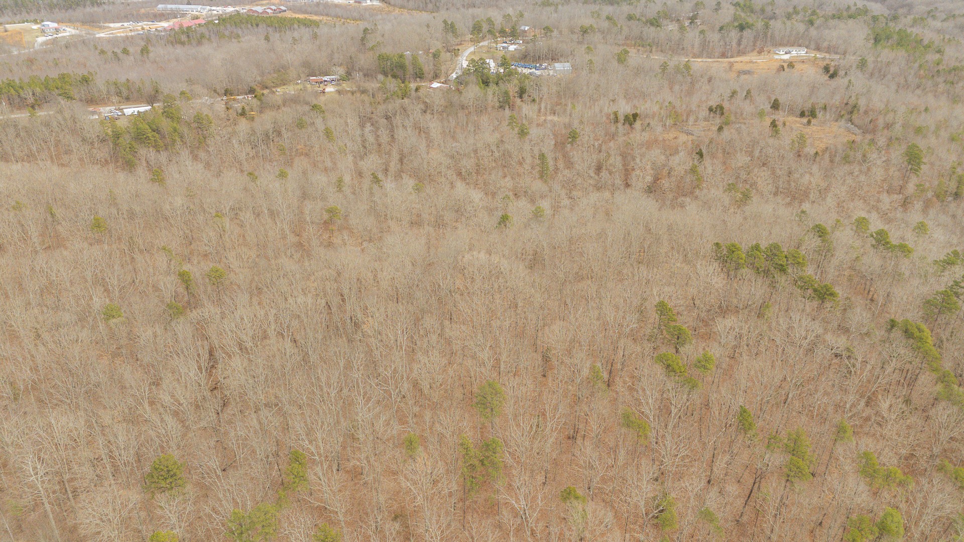 0 Walker Road Waynesboro, TN 38485 - Photo 27 of 50