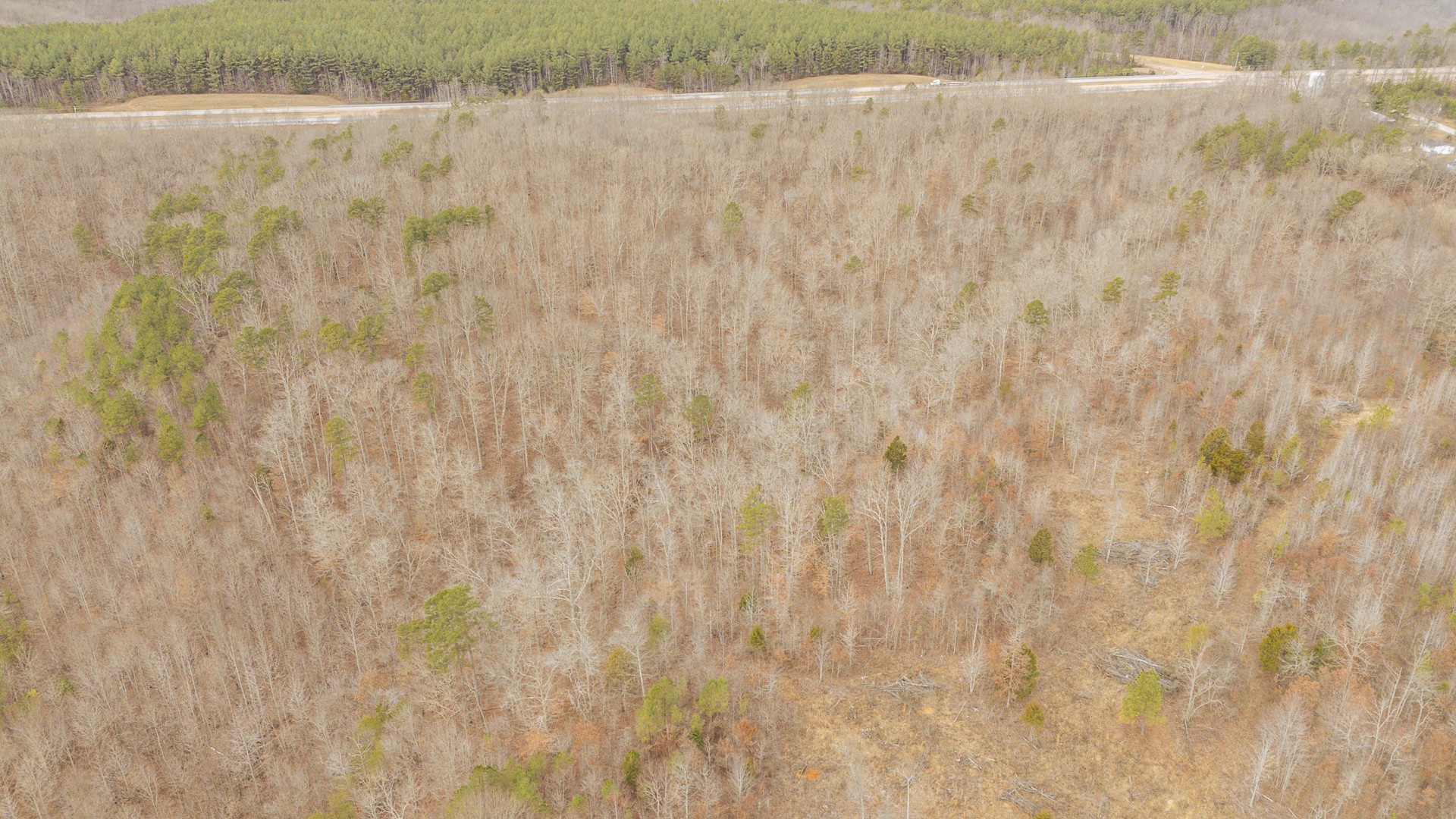 0 Walker Road Waynesboro, TN 38485 - Photo 34 of 50