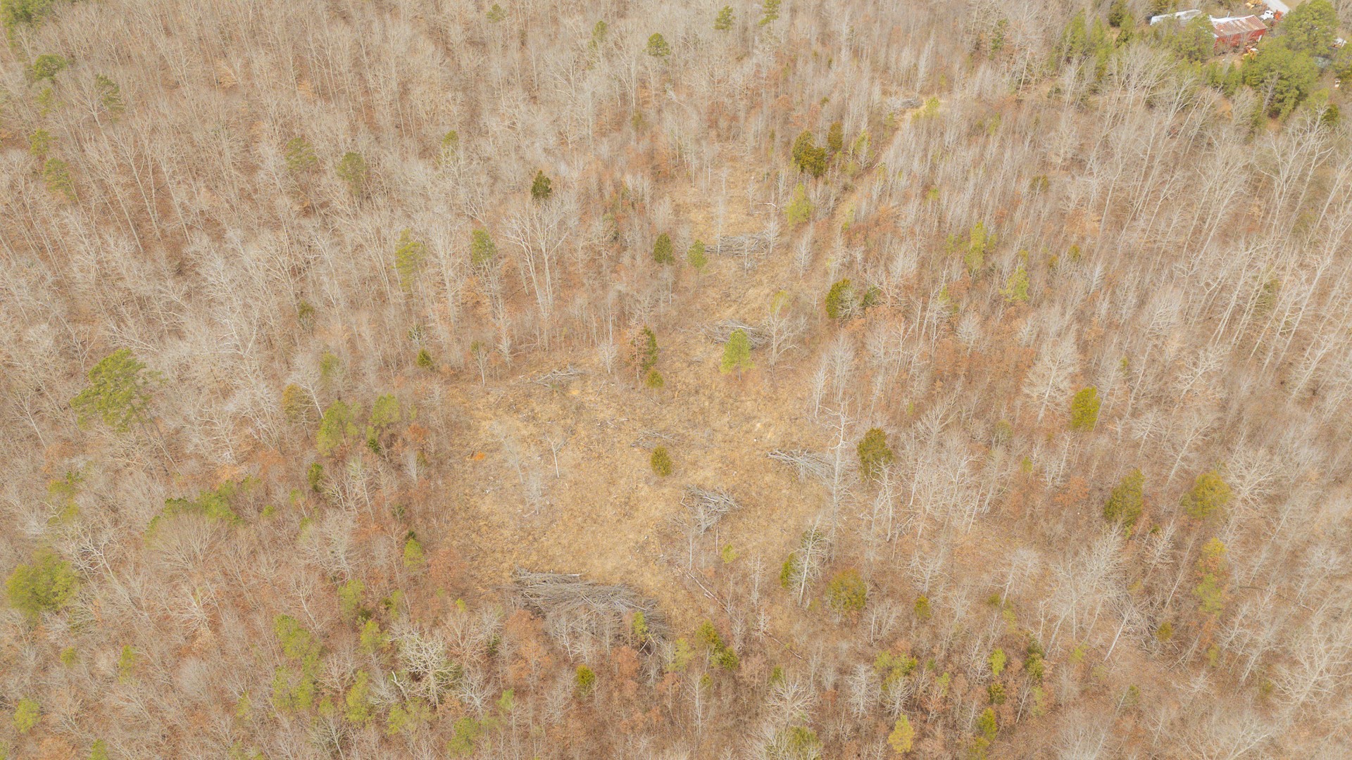 0 Walker Road Waynesboro, TN 38485 - Photo 35 of 50