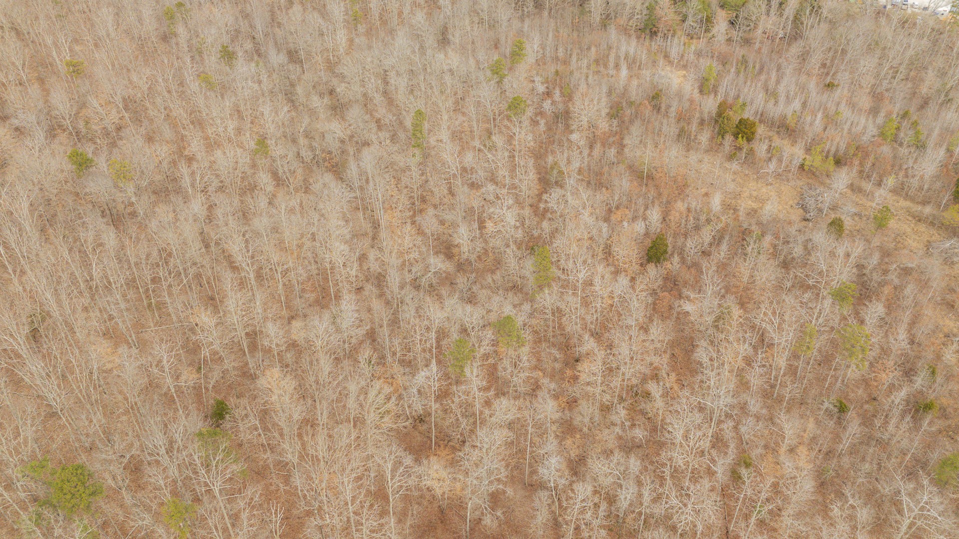 0 Walker Road Waynesboro, TN 38485 - Photo 40 of 50