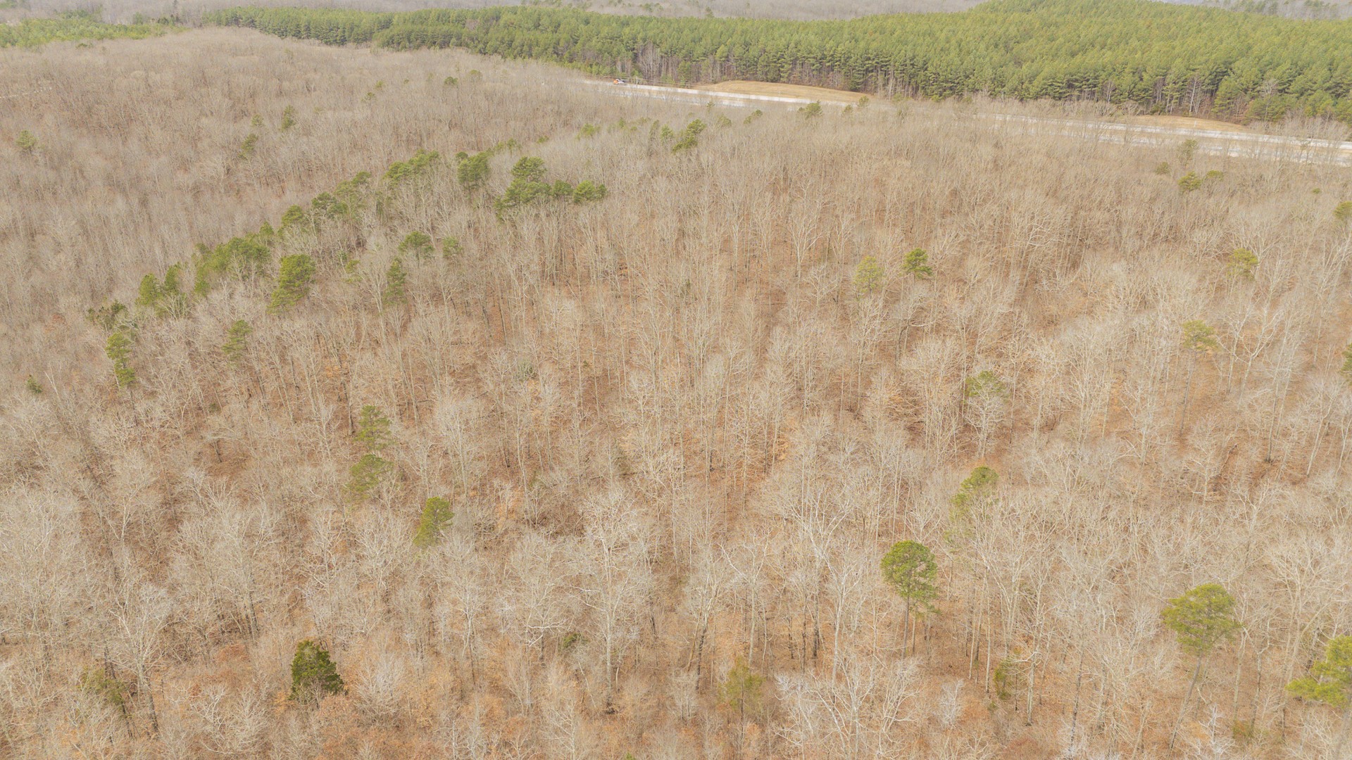 0 Walker Road Waynesboro, TN 38485 - Photo 4 of 50