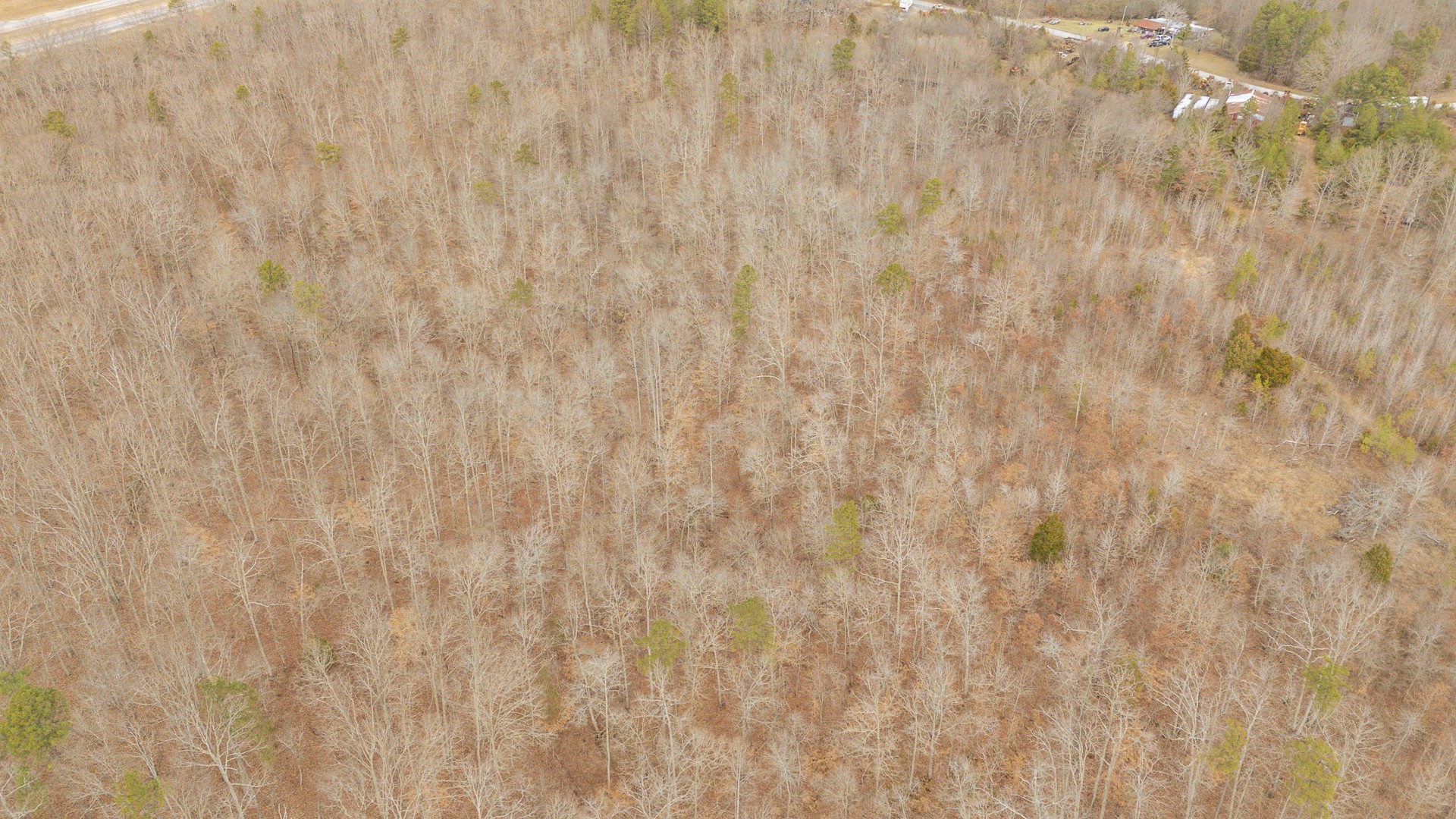 0 Walker Road Waynesboro, TN 38485 - Photo 41 of 50