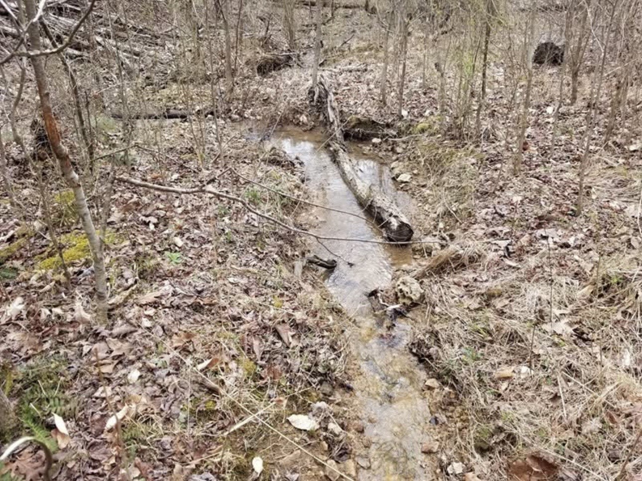 0 Walker Road Waynesboro, TN 38485 - Photo 50 of 50