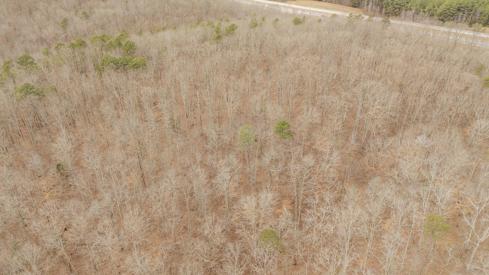 0 Walker Road Waynesboro, TN 38485 - Photo 8 of 50