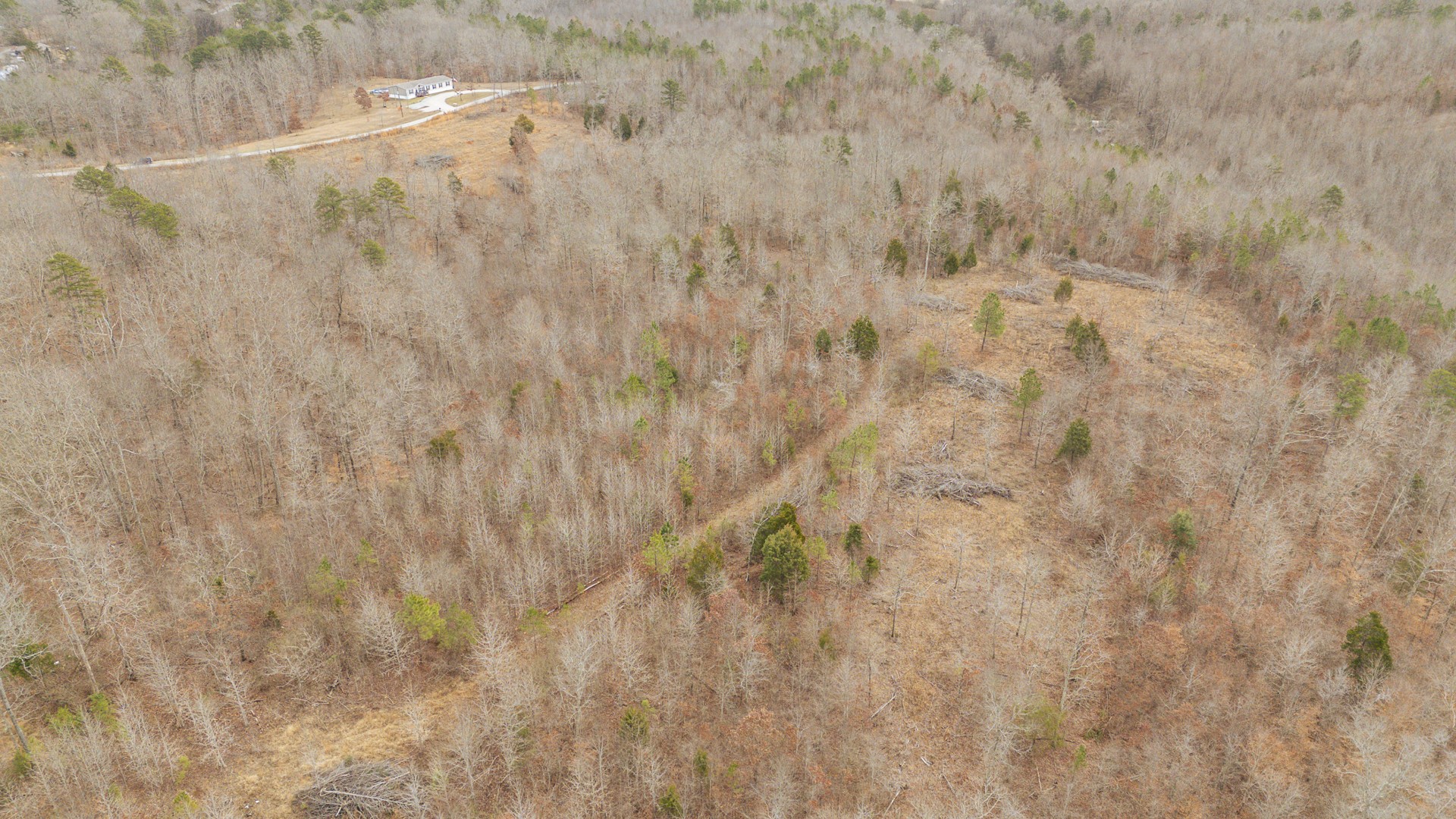 0 Walker Road Waynesboro, TN 38485 - Photo 9 of 50