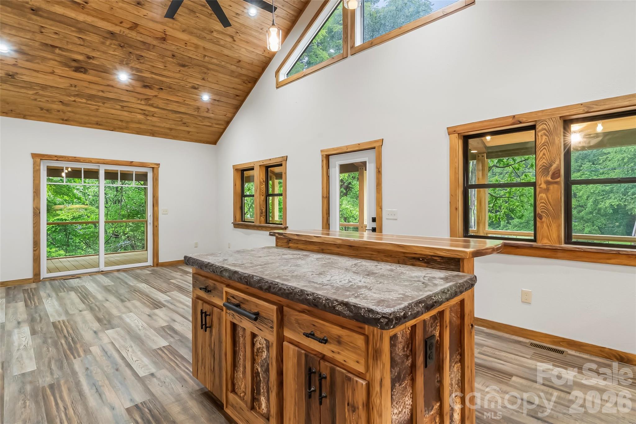 1737 Newfound Road Leicester, NC 28748 - Photo 20 of 47