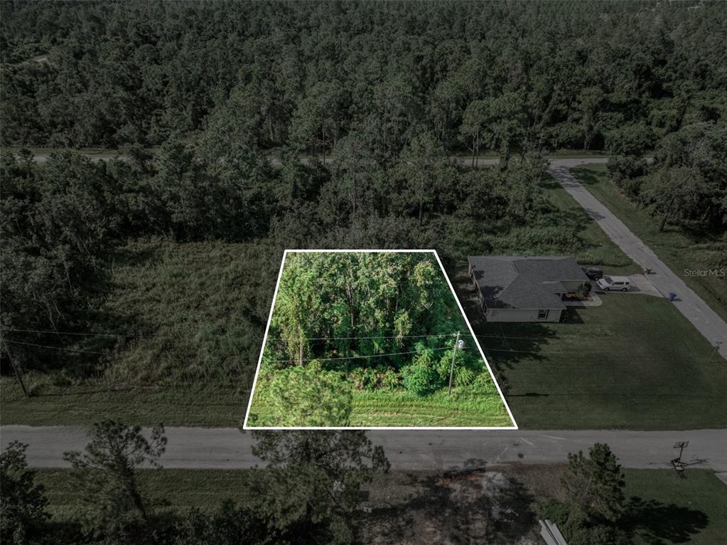 7922 Bernal Drive Sebring, FL 33872 - Photo 6 of 22 a view of yard
