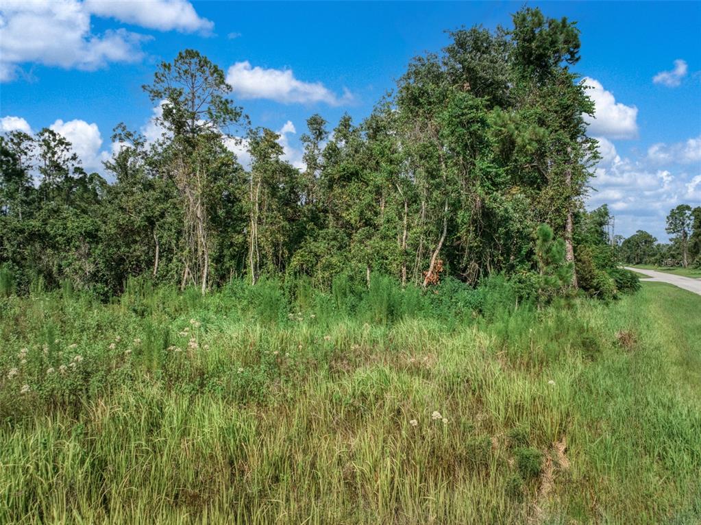 7922 Bernal Drive Sebring, FL 33872 - Photo 10 of 22 a view of a lush green space