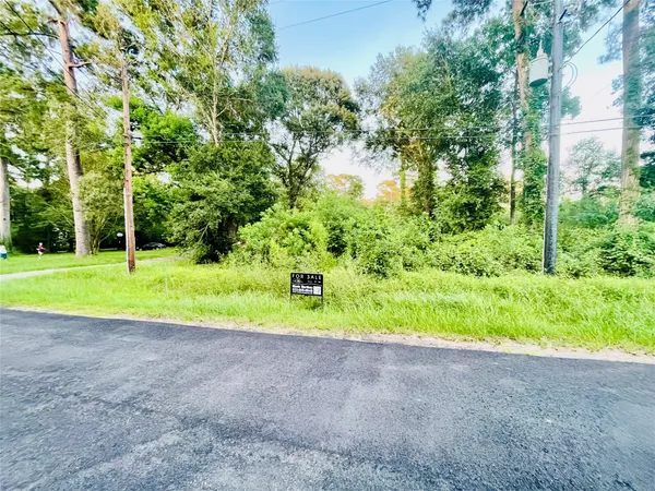 $300,000 | 0 Park Pl Drive, Tomball, TX 77377