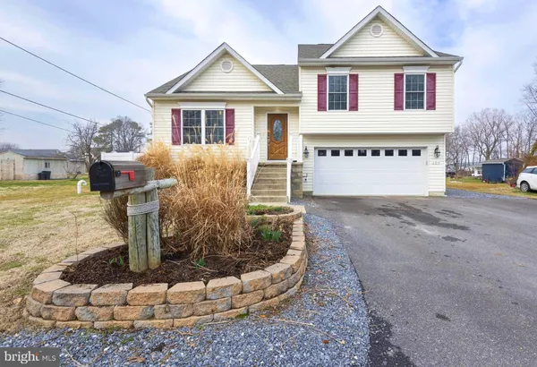 a potted plant sitting in front of a house