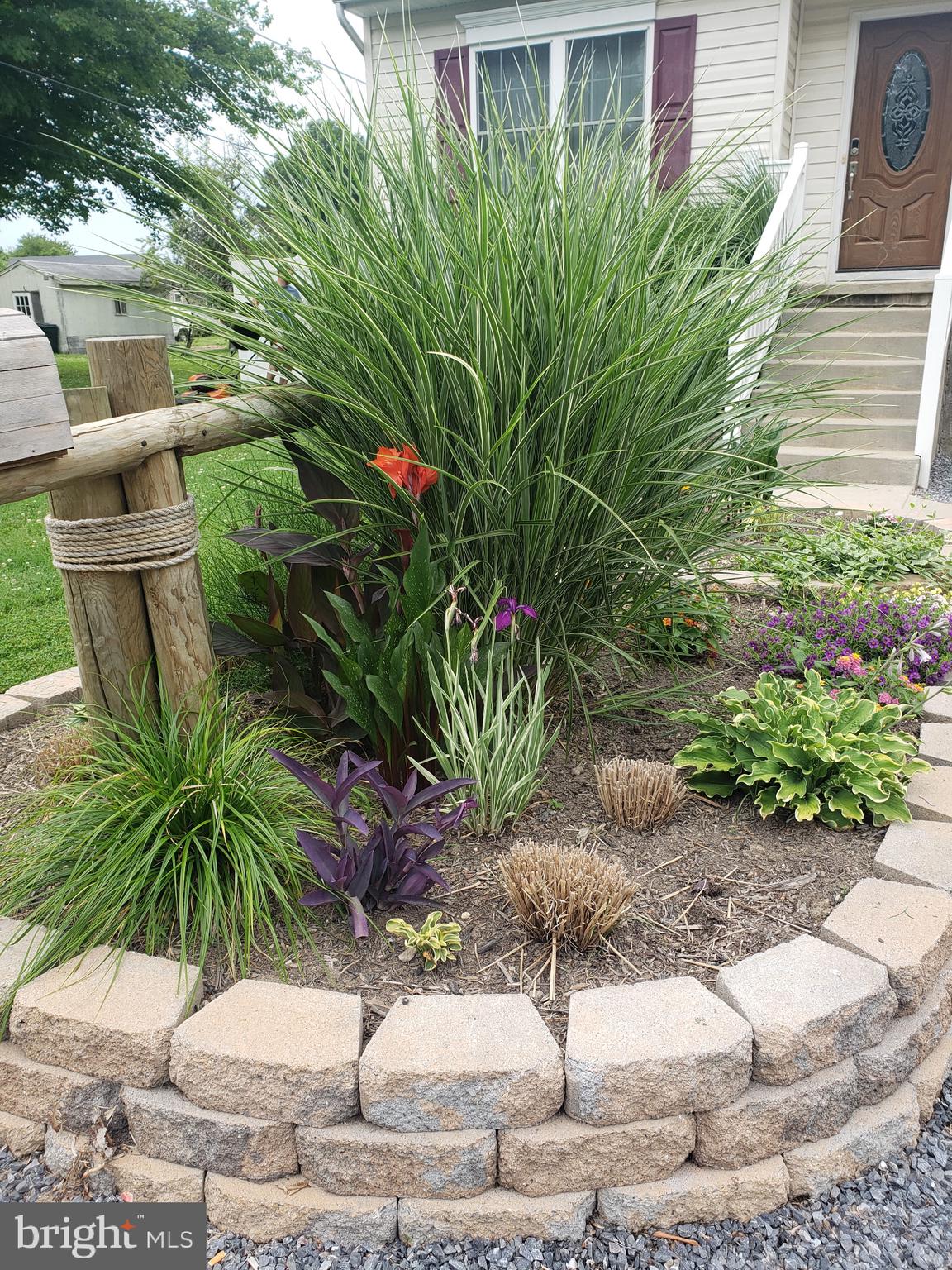 109 Price Road Chester, MD 21619 - Photo 5 of 32 a potted plant sitting in front of a house