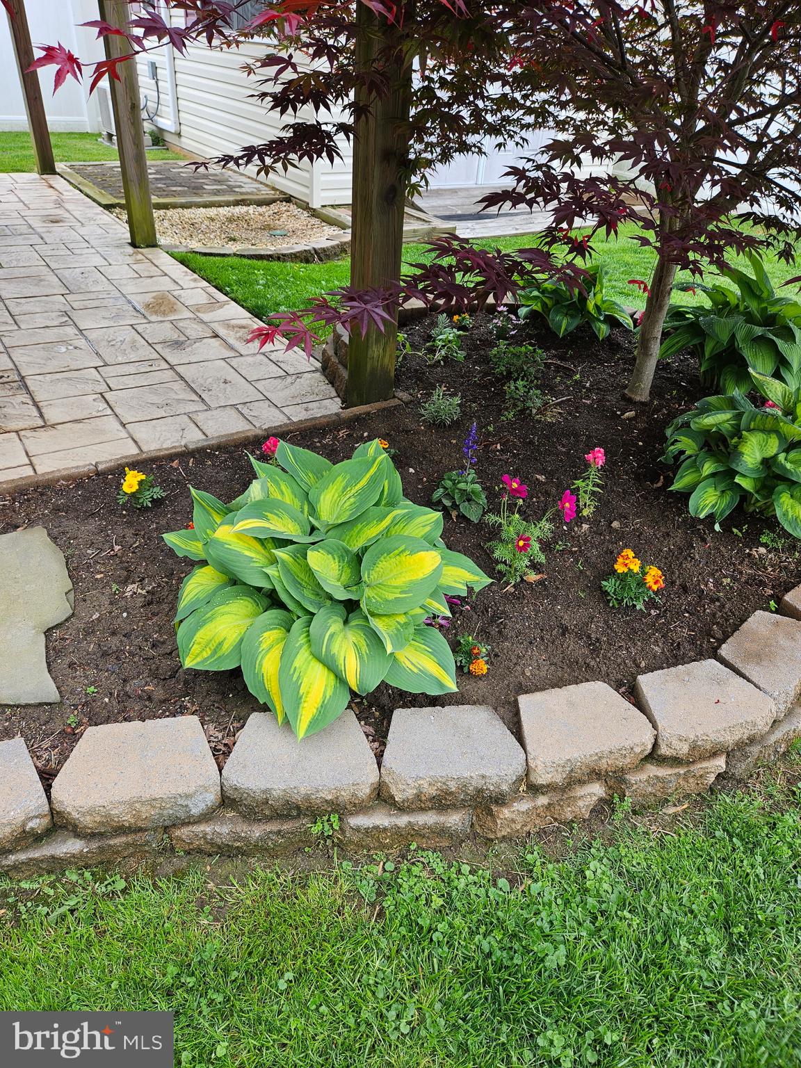 109 Price Road Chester, MD 21619 - Photo 6 of 32 a view of a yard with a fountain