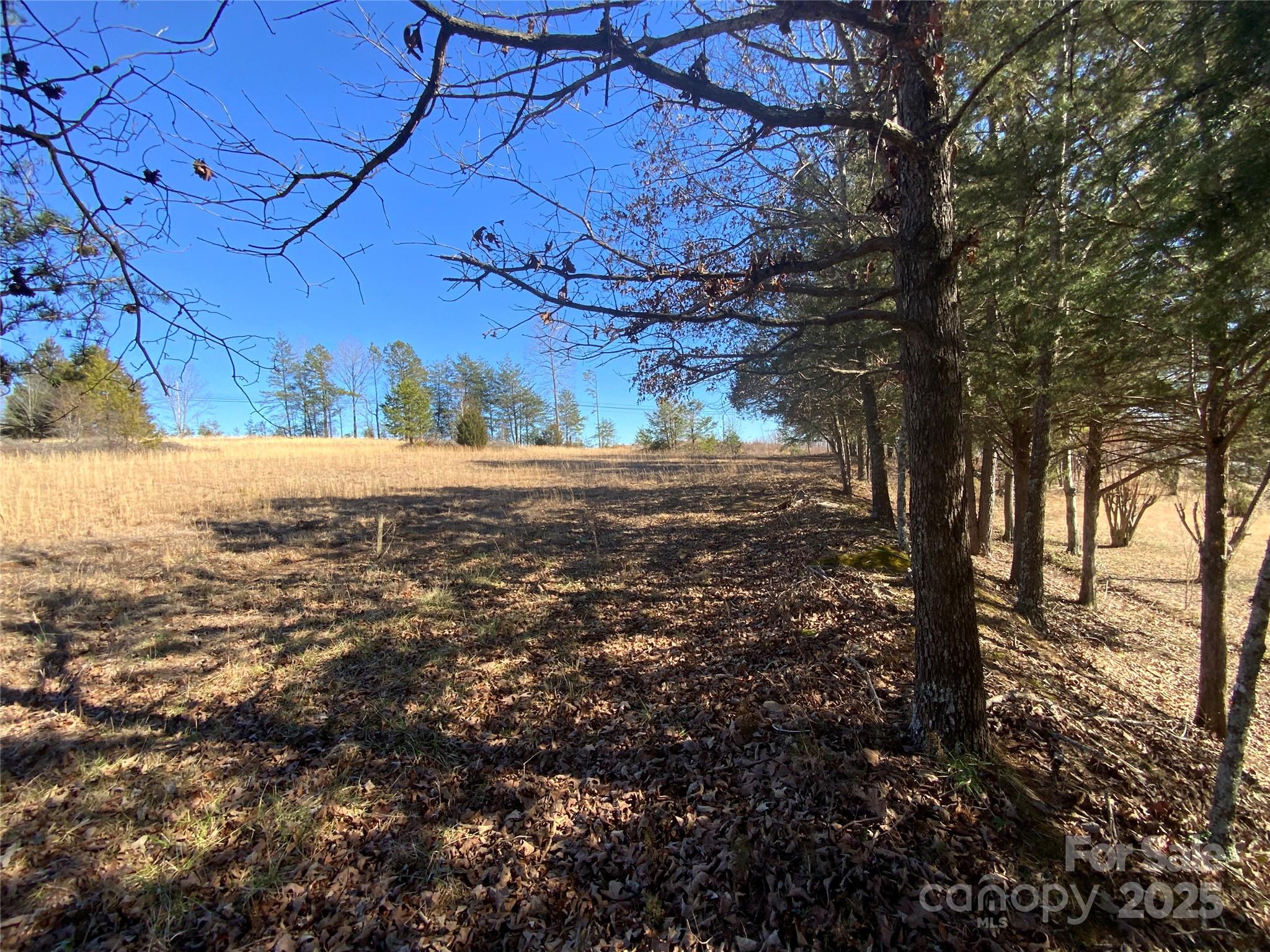 134 Oscar Justice Road Rutherfordton, NC 28139 - Photo 7 of 24