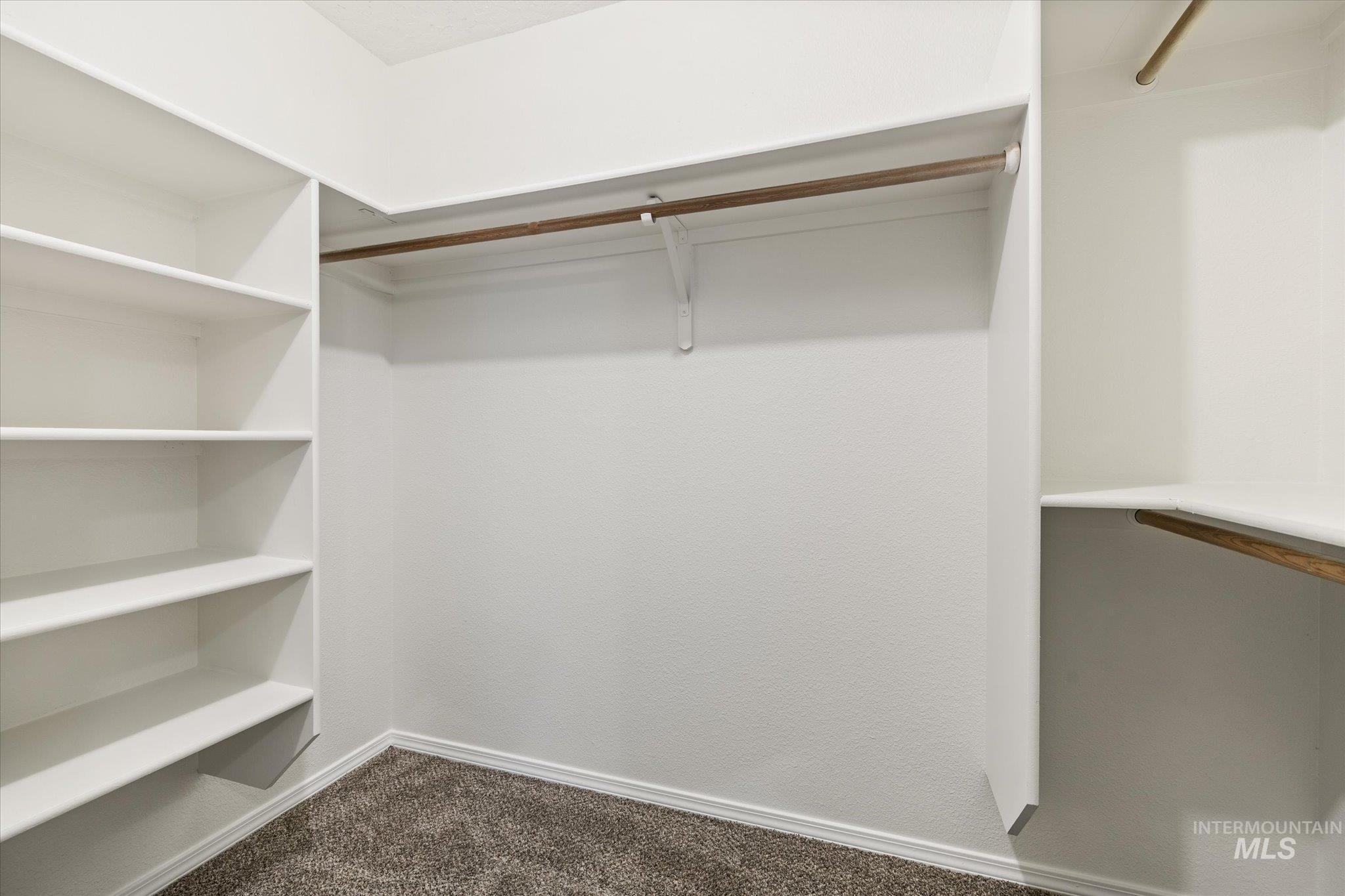 1399 West Gander Drive Meridian, ID 83642 - Photo 25 of 40 Spacious closet with dark carpet