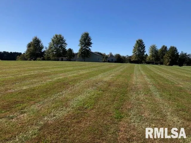 a view of a field with an trees in the background