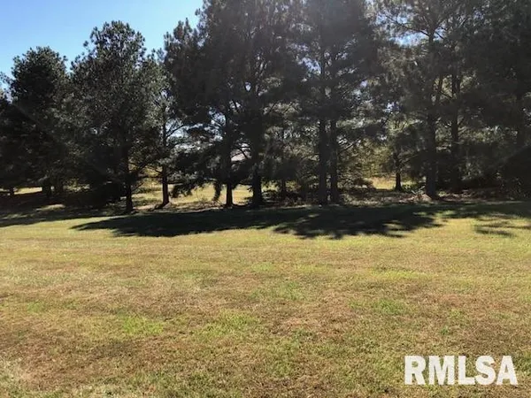 $30,000 | 0 Ariel Drive, Murphysboro, IL 62966