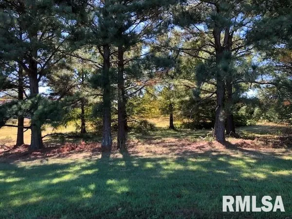 a view of an ocean beach
