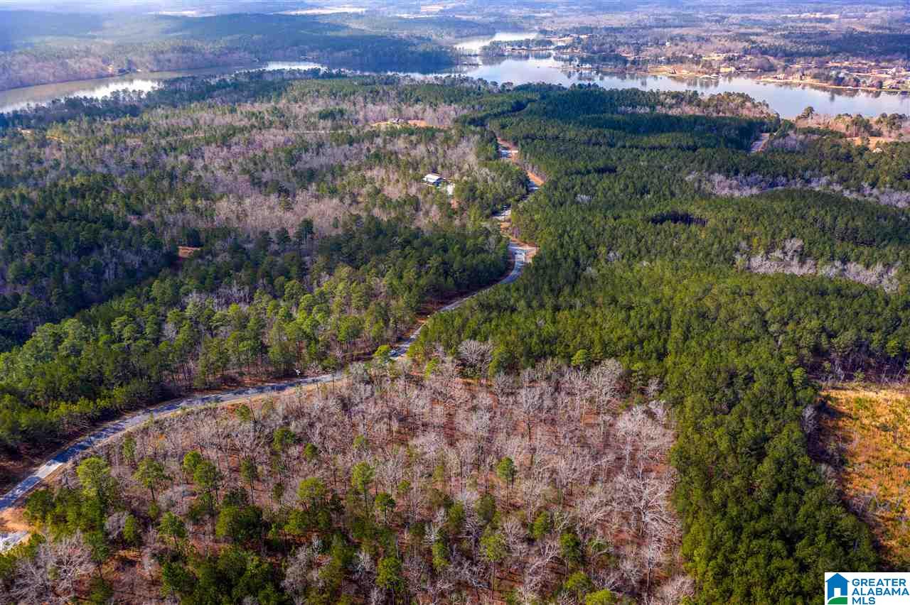 Shore Side Lane Sylacauga, AL 35151 - Photo 4 of 15